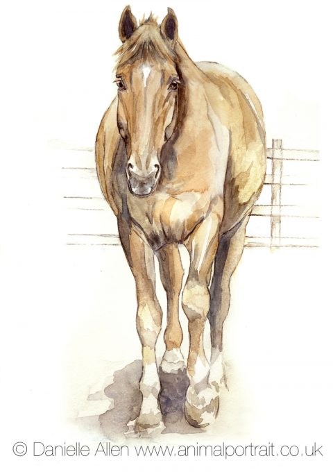 Chestnut Horse