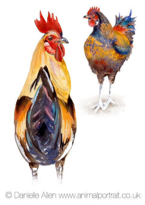 Cock n Hen