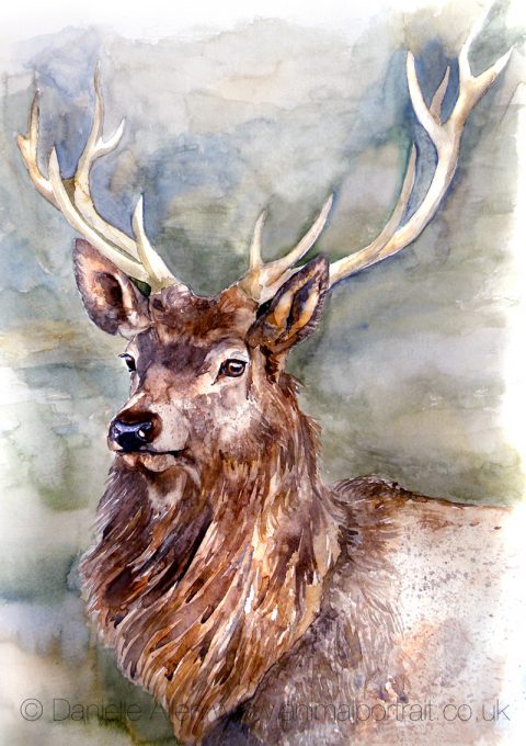 Stag On Moss