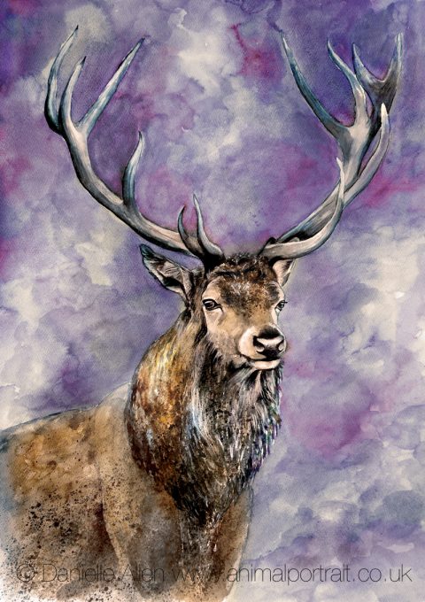 Stag On Heather