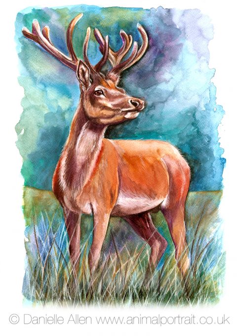 Stag Sunset