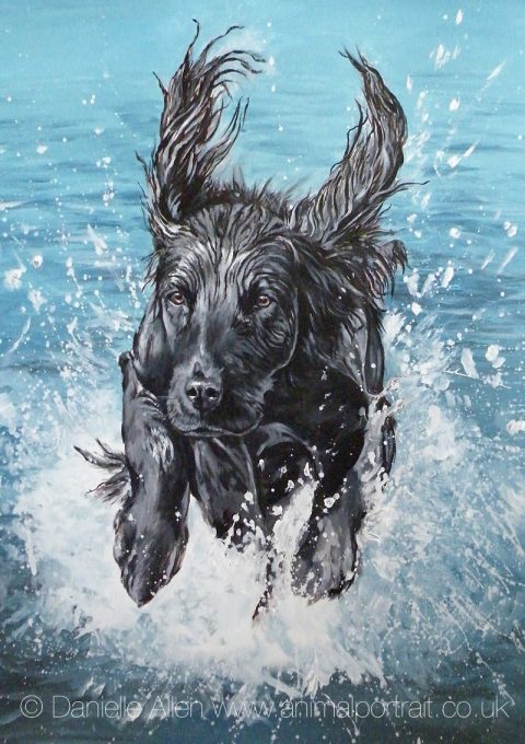 Water Splash