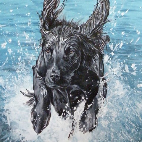 Fine Art Prints