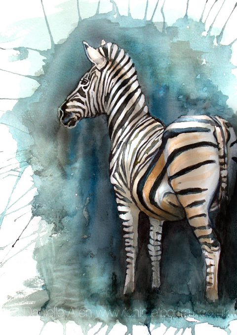 Zebra