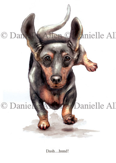 Dash...Hund